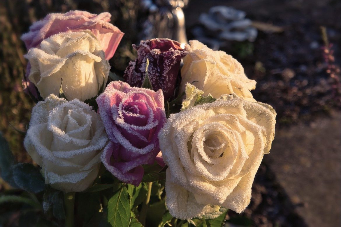 Sztuczne kwiaty na cmentarz – czy takie rozwiązanie się sprawdzi?